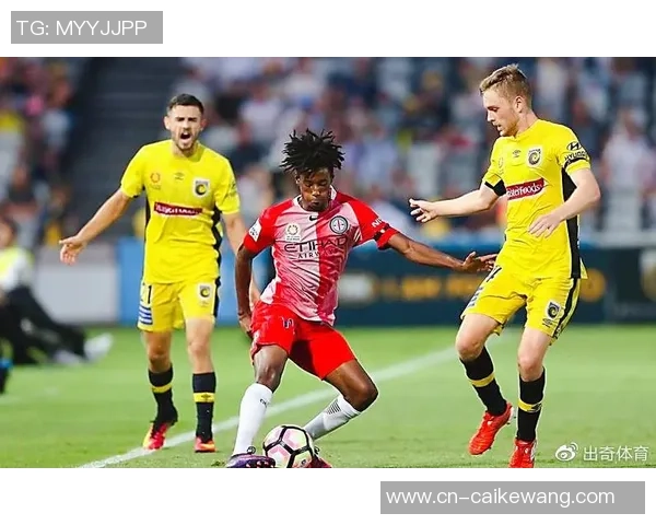 中部海岸与惠灵顿比赛前瞻及比分预测分析